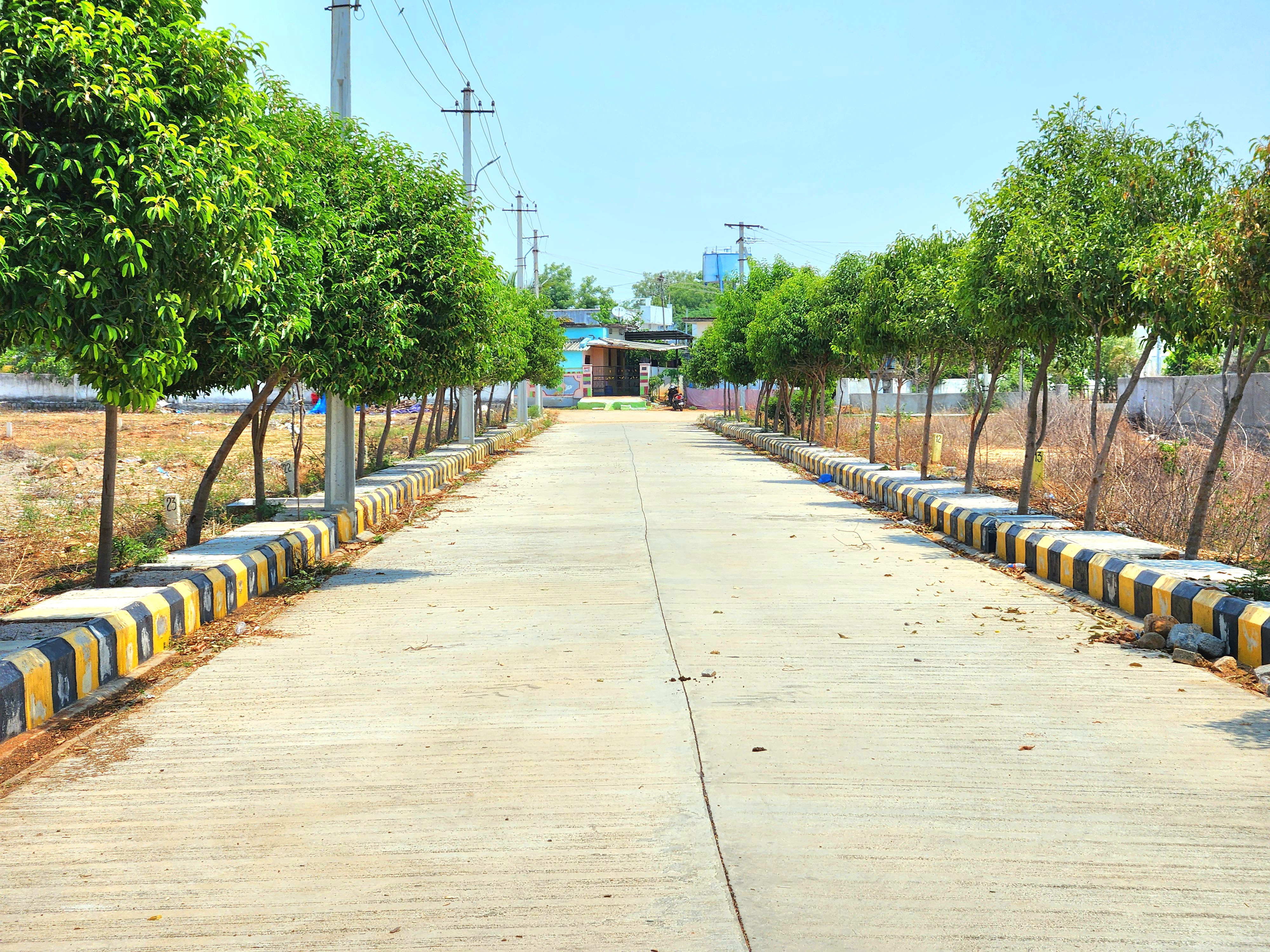 ever mark properties